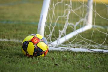 樊振东欧冠夺冠后英文回应显尊重（配图示意）